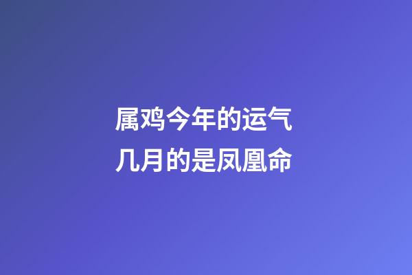 属鸡今年的运气 几月的是凤凰命